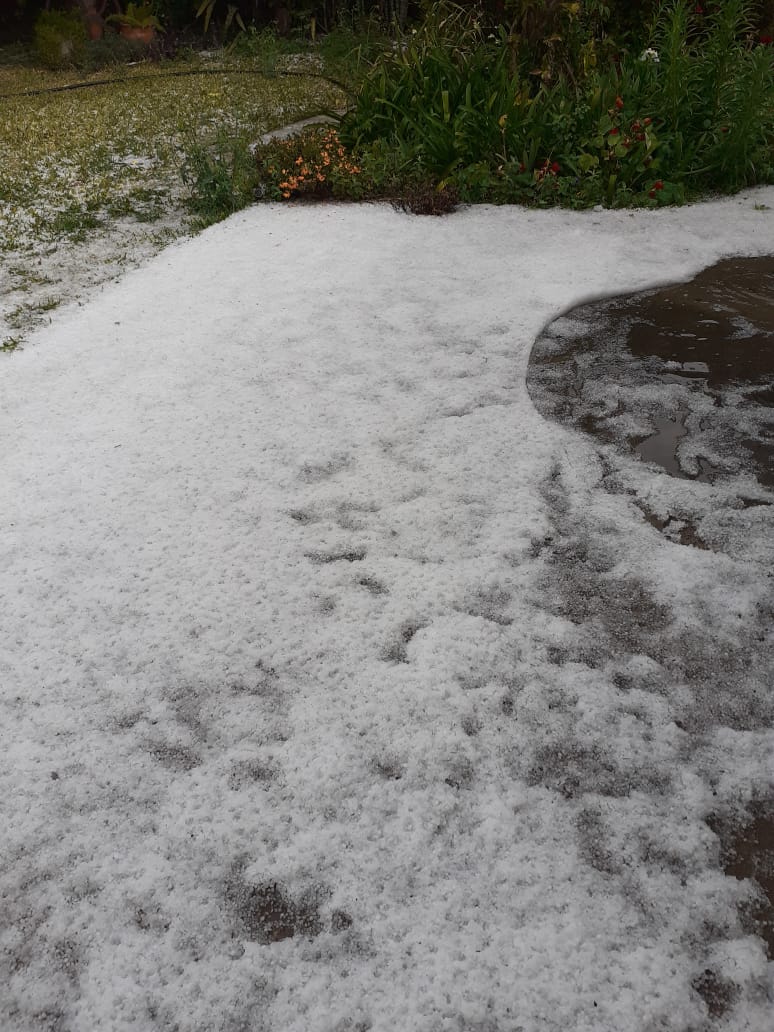 Reportaron una sorpresiva caída de granizo en distintos puntos de la